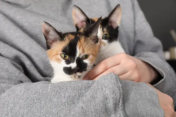 Evde sevimli kedileri olan bir kadın, yakın plan.