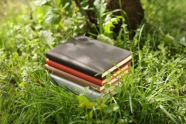 Yeşil çimenler üzerine farklı istiflenmiş kitaplar.