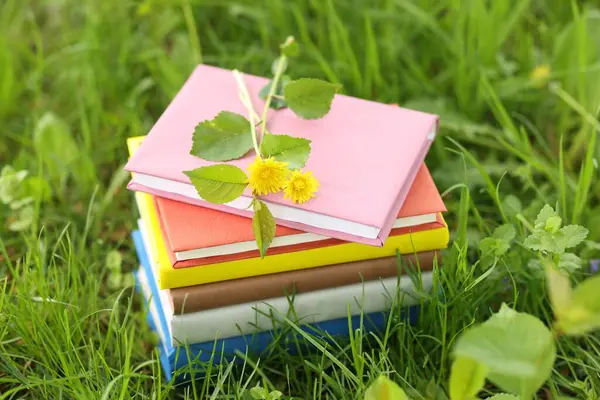 Yeşil çimlerin üzerinde karahindiba çiçekleri olan kitaplar, yakın plan.