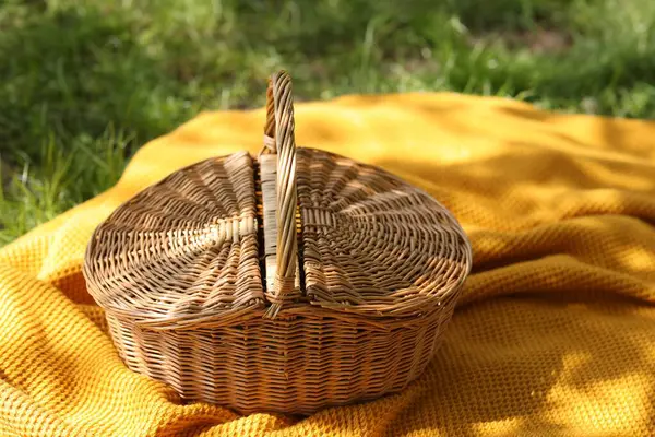 Sepet ve battaniye yeşil çimlerin üzerinde, yakın plan.