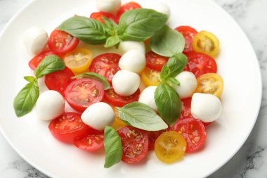 Mozarella soslu lezzetli salata, domates ve fesleğen beyaz mermer masada, yakın plan.