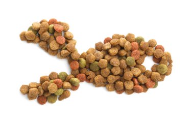 Kuru hayvan mamasından yapılmış balık şekli beyaz, üst görünümde izole.