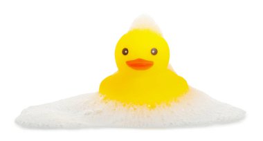 Beyaz bir ördek ve köpük.