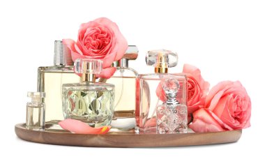 Birçok farklı parfüm şişeleri ve güller beyaz üzerine izole edilmiş.