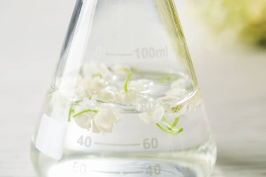 Lüks parfüm yapıyorum. Beyaz masadaki yağlar ve çiçekler, yakın plan.