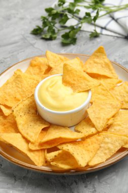 Lezzetli peynir sosu kasede, nacho cipsi ve maydanoz gri masada, yakın plan.