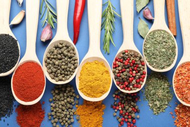 Mavi arka planda kaşıklardaki farklı aromatik baharatlar.