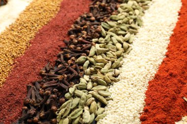 Arka plan olarak çok farklı aromatik baharatlar, yakın plan