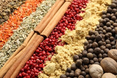 Arka plan olarak çok farklı aromatik baharatlar, yakın plan