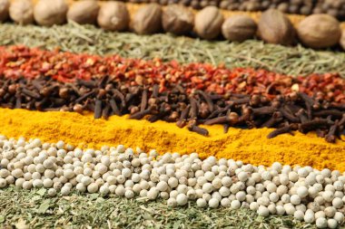 Arka plan olarak çok farklı aromatik baharatlar, yakın plan