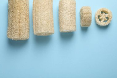 Açık mavi arka planda doğal lif süngeri, düz. Metin için boşluk