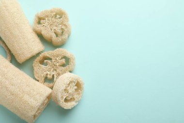 Açık mavi arka planda doğal lif süngeri, düz. Metin için boşluk