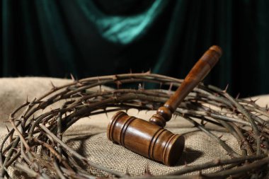 Yargıç tokmağı ve dikenli taç çuval bezi, yakın plan.