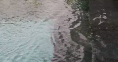 Temiz suyla açık havuz, yakın çekim.