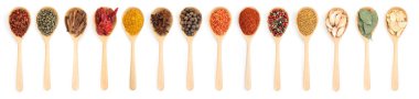 Beyaz arka planda tahta kaşıklardaki farklı aromatik baharatlar, set. Üst görünüm