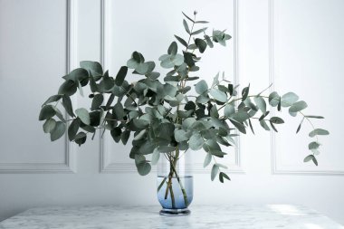 Beyaz duvarın yanındaki mermer masada vazoda yeşil okaliptüs dalları var.