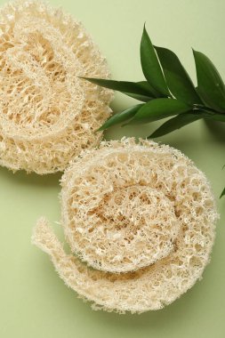 Yeşil arka planda doğal lif süngeri ve yapraklar, düz uzanmış.