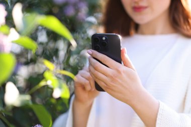 Açık havada akıllı telefonda bitki tanıma uygulaması kullanan bir kadın, seçici odaklanma