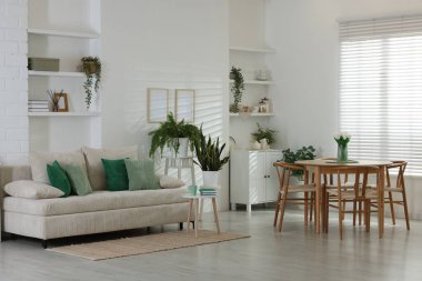 Rahat bir kanepe, masa, sandalyeler ve yeşil ev bitkileri. İç tasarım