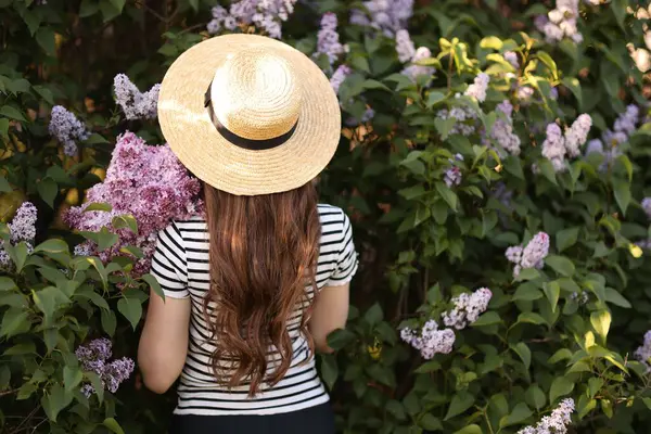 Leylak çiçeklerinin arasında hasır şapkalı bir kadın ve açık hava, arka manzara. Metin için boşluk