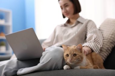 Ev ofisindeki koltukta dizüstü bilgisayarla çalışan ve kediyi okşayan bir kadın.