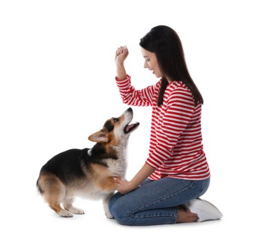 Mutlu kadın köpeğini beyaz arka planda eğitiyor.