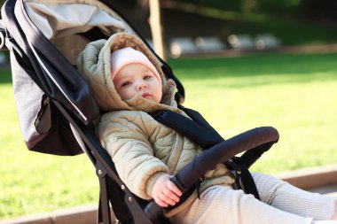 Parktaki bebek arabasında şirin bir bebek.