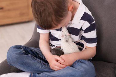 Evdeki koltukta evcil fareleri olan küçük çocuk.