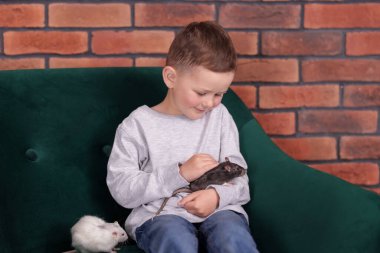 Evdeki kanepesinde fareleri olan küçük bir çocuk.
