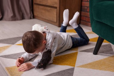 Evinde evcil faresi olan küçük çocuk.