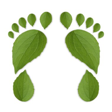 Beyaz arka planda yeşil yapraklardan yapılmış insan ayak izleri. Çevre bakımı, ekoloji koruması, CO2 emisyonunun azaltılması