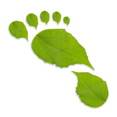 Beyaz arka planda yeşil yapraklardan yapılmış insan ayak izleri, üst manzara. Çevre bakımı, ekoloji koruması, CO2 emisyonunun azaltılması