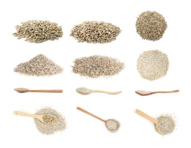 Çavdar ekmeği ve tahıllar beyaza izole edilmiş, kolaj