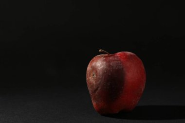 Siyah arka planda bir çürük kırmızı elma. Metin için boşluk