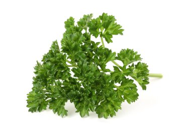 Beyaz maydanozlu taze maydanoz.