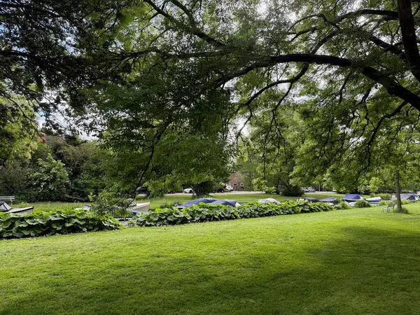 Güzel yeşil ağaçlar ve şehir kanalı Açık havada demirli teknelerle