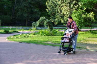 Anne bebeğiyle parkta bebek arabasında yürüyor. Metin için boşluk