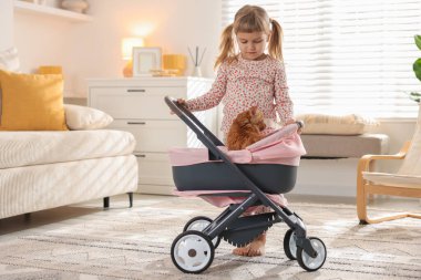 Evinde oyuncak bebek arabasında kızıl kedisi olan sevimli küçük bir kız.