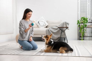 Oyuncağı olan mutlu kadın köpeğini evde eğitiyor.