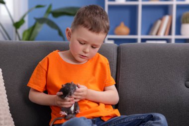 Evdeki kanepede evcil faresi olan küçük çocuk.