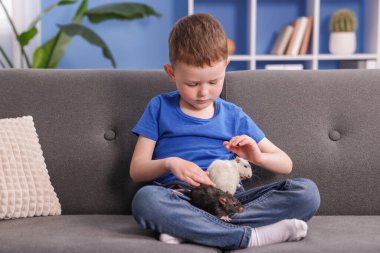 Evdeki kanepesinde fareleri olan küçük bir çocuk.