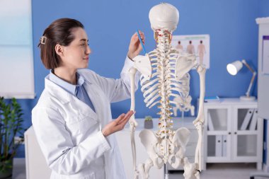 Doktor klinikteki insan iskeleti modelini işaret ediyor.