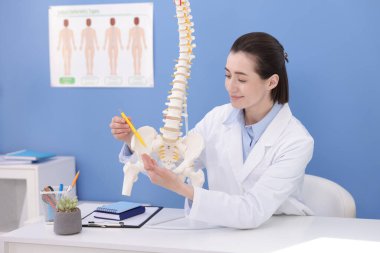 Doktor, klinikteki masadaki insan omurga modeline işaret ediyor.