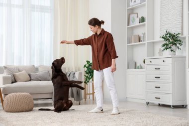 Güzel bir kadın köpeğini evde eğitiyor.