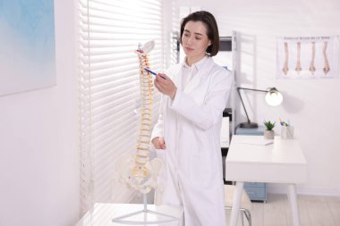 Doktor klinikteki insan omurga modeline işaret ediyor.