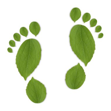 Beyaz arka planda yeşil yapraklardan yapılmış insan ayak izleri. Çevre bakımı, ekoloji koruması, CO2 emisyonunun azaltılması