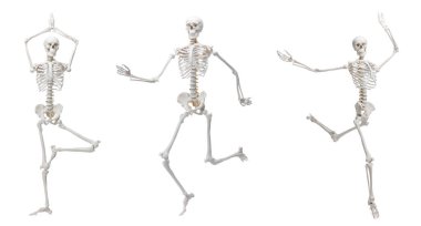 Farklı pozlarda suni insan iskeleti modeli beyaz, set
