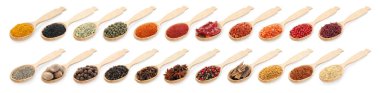 Beyaz arka planda ahşap kaşıklardaki farklı aromatik baharatlar.