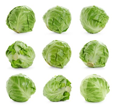 Beyaz arka planda taze lahana, kolaj