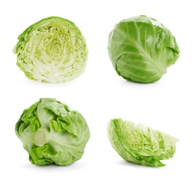 Beyaz arka planda taze lahana, kolaj